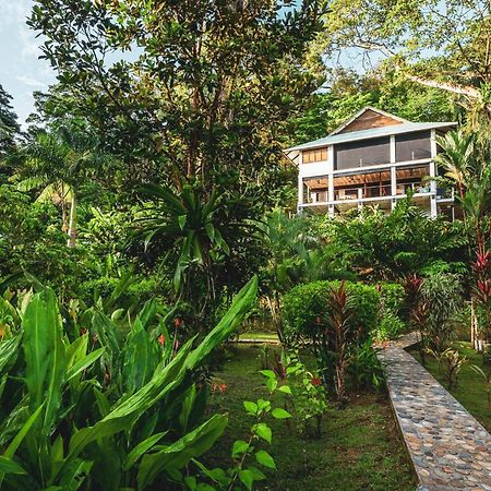 Roam Yoga & Wellness Lodge Бокас дел Торо Екстериор снимка