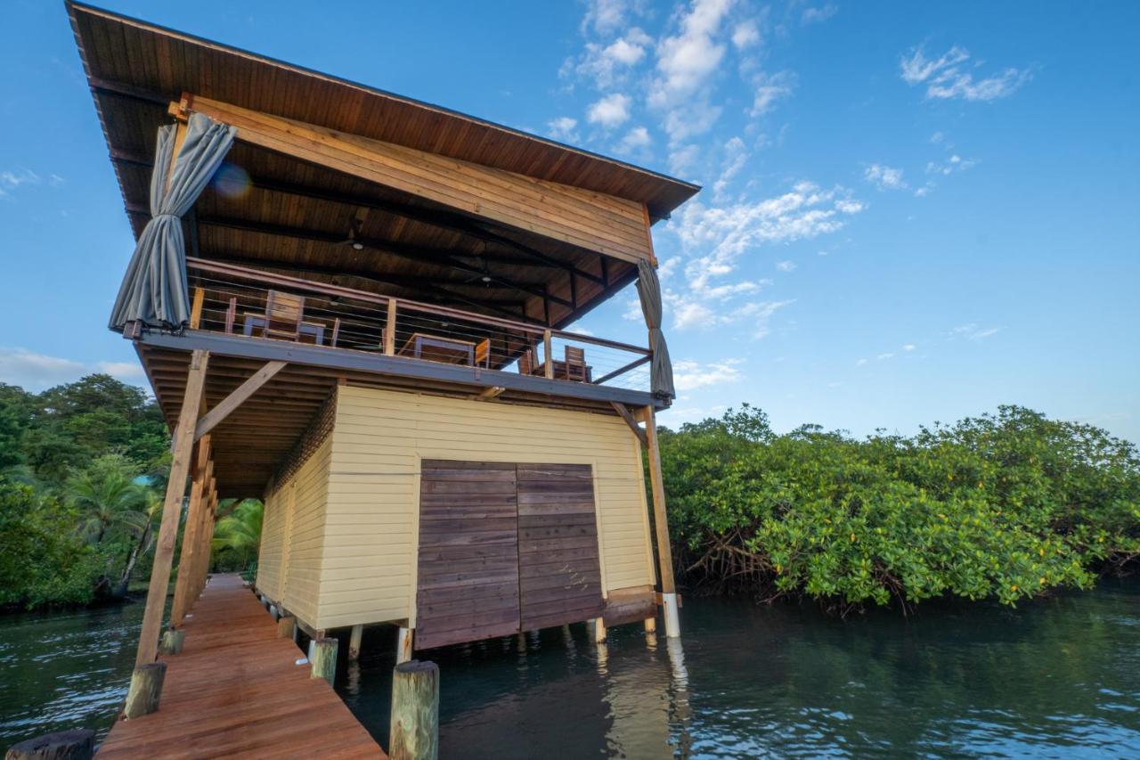 Roam Yoga & Wellness Lodge Бокас дел Торо Екстериор снимка