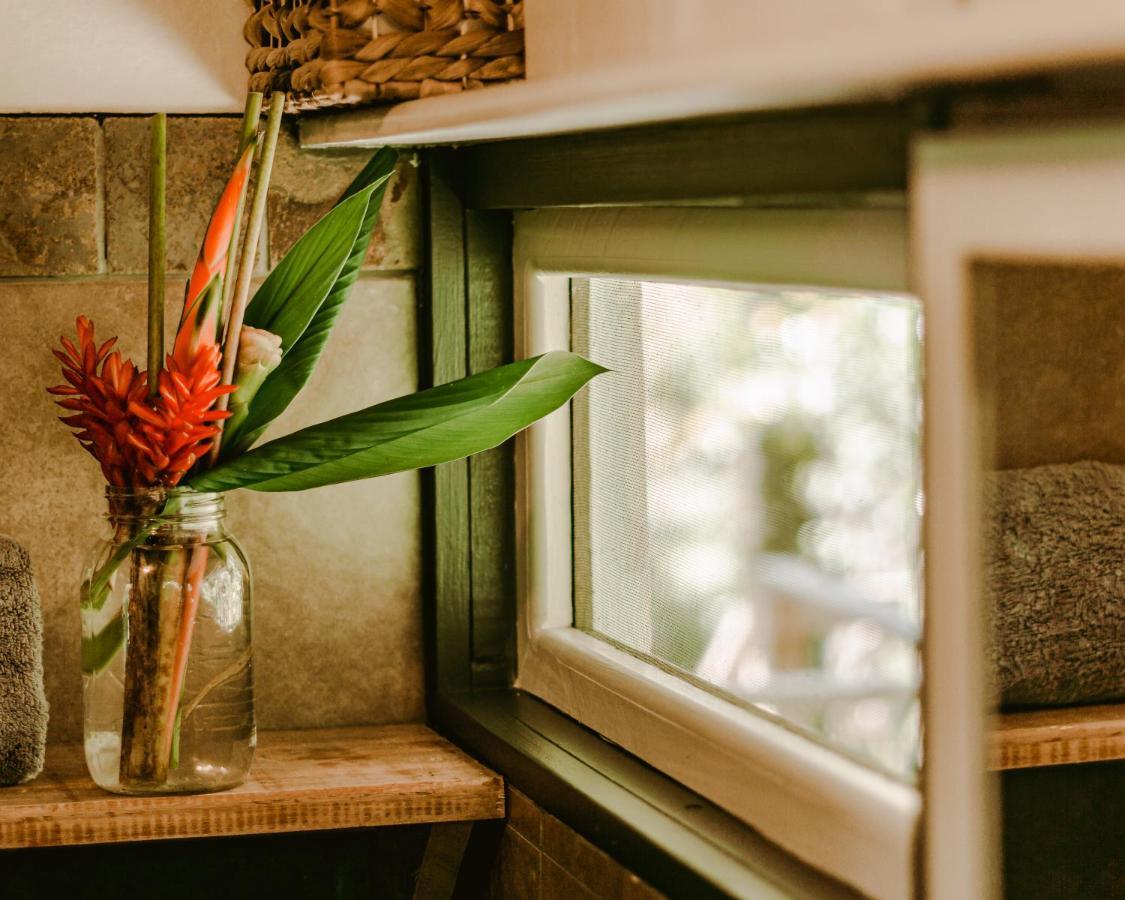 Roam Yoga & Wellness Lodge Бокас дел Торо Екстериор снимка