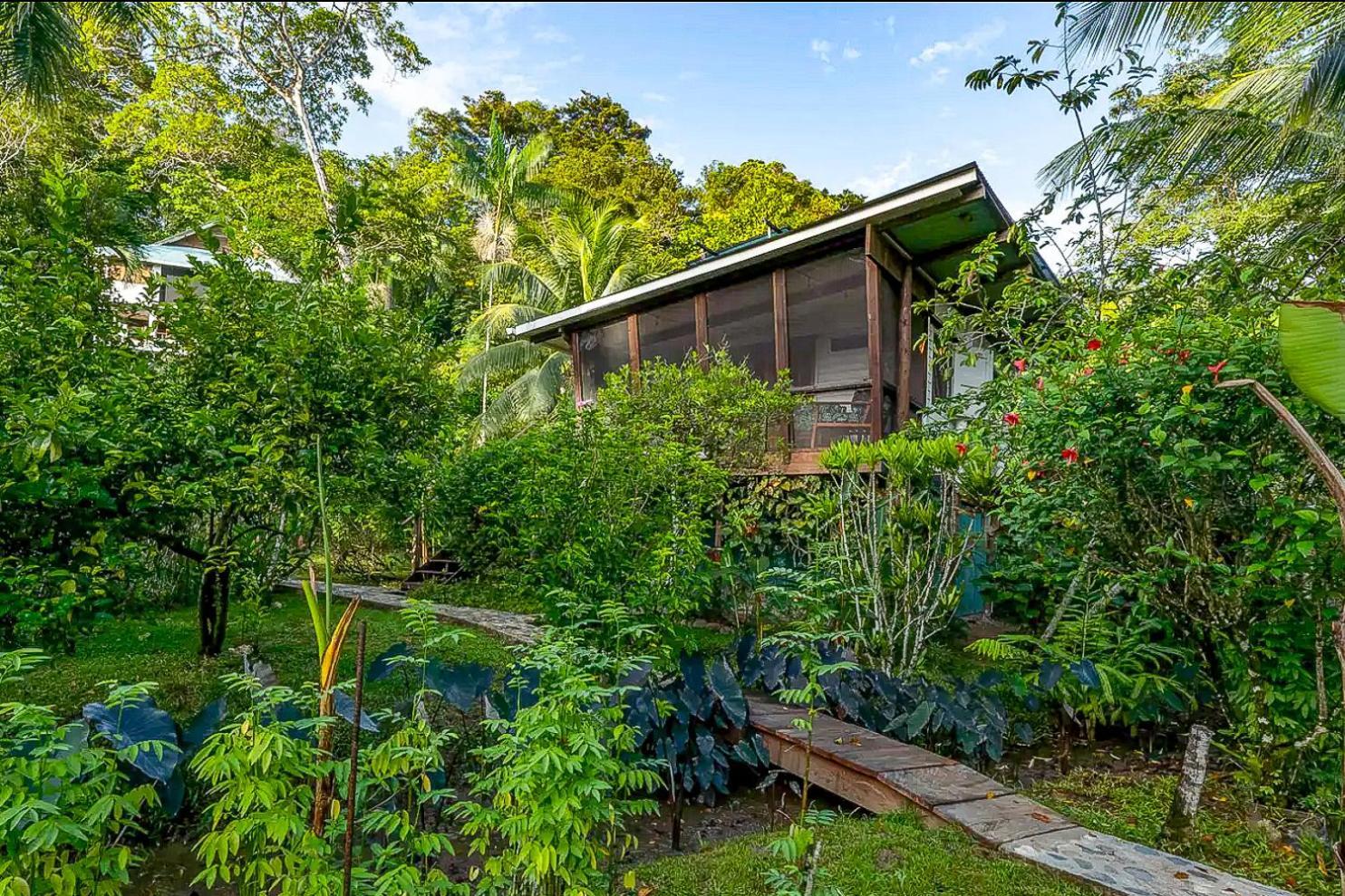 Roam Yoga & Wellness Lodge Бокас дел Торо Екстериор снимка