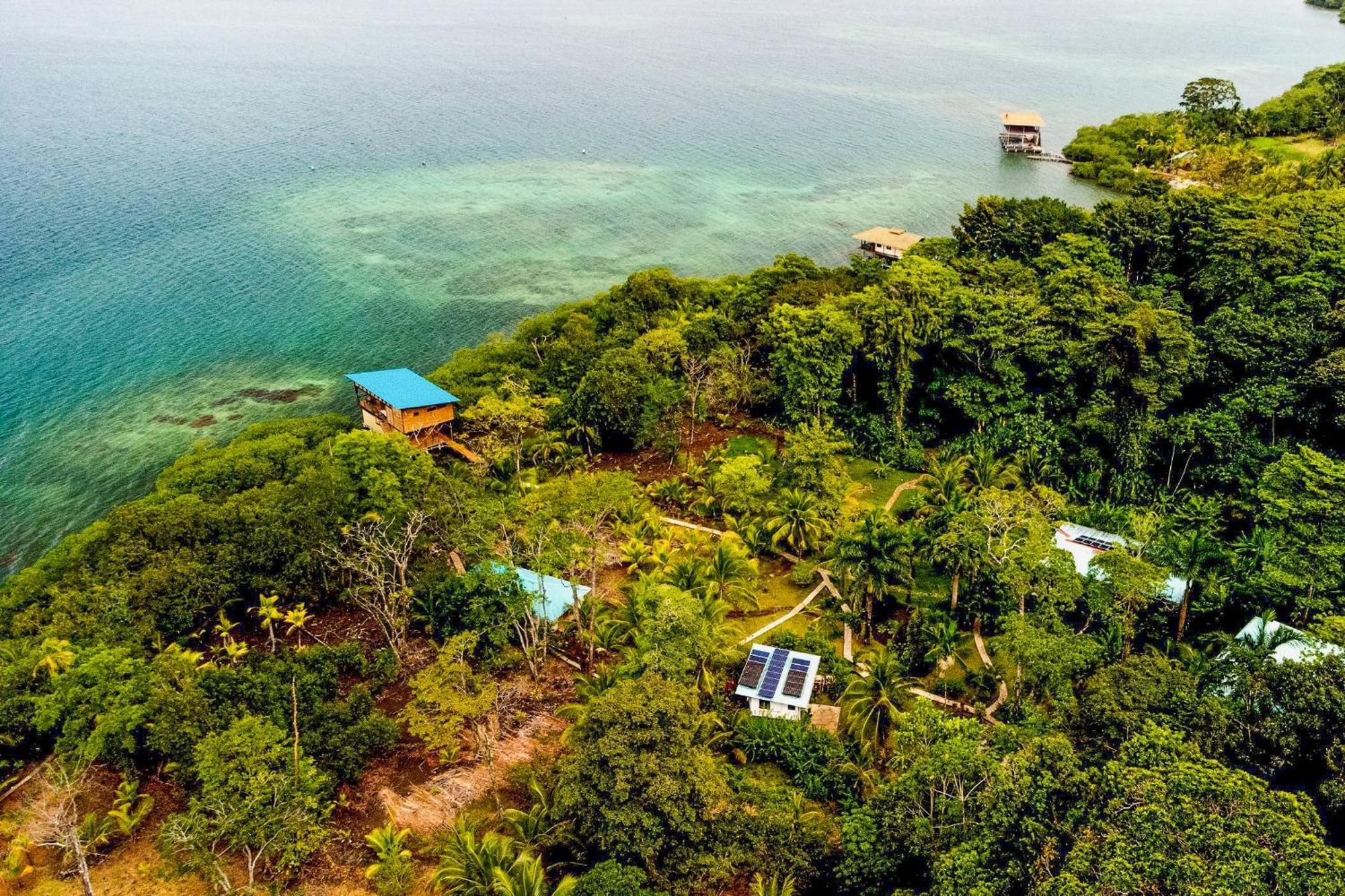Roam Yoga & Wellness Lodge Бокас дел Торо Екстериор снимка