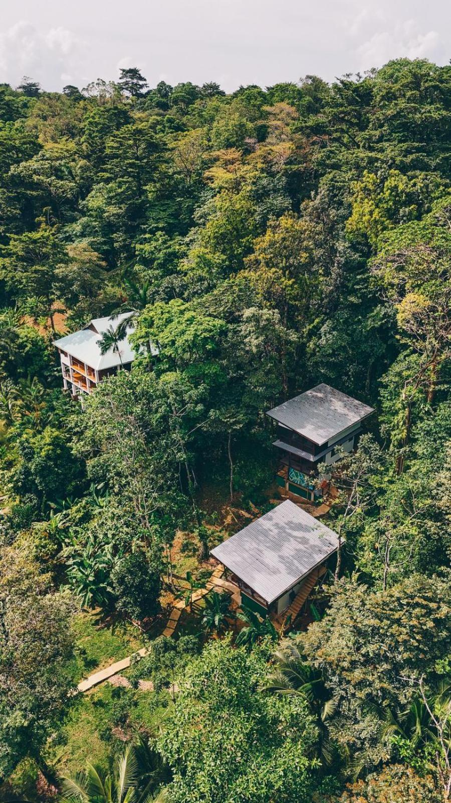 Roam Yoga & Wellness Lodge Бокас дел Торо Екстериор снимка